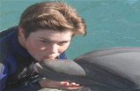 One Day Swim with the Dolphins in Miami Tour